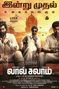  Красное приветствие 